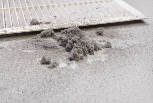 Best Local Air Duct Cleaning Services  in Laurel Hill, NC