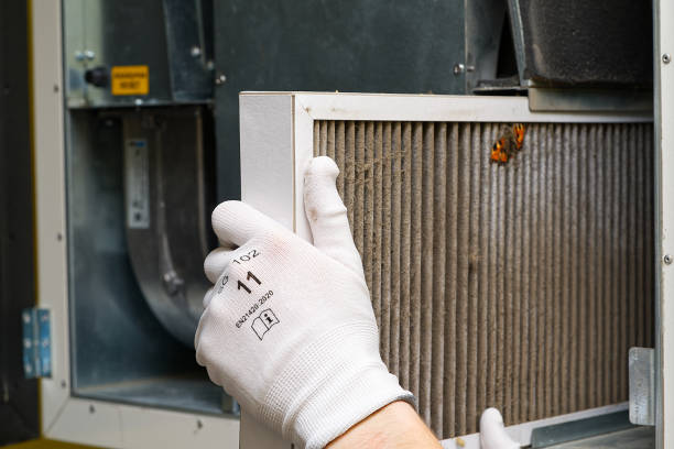 Best Home Air Vent Cleaning  in Laurel Hill, NC