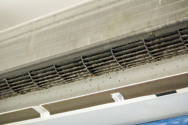 Best Dryer Vent Cleaning Services  in Laurel Hill, NC