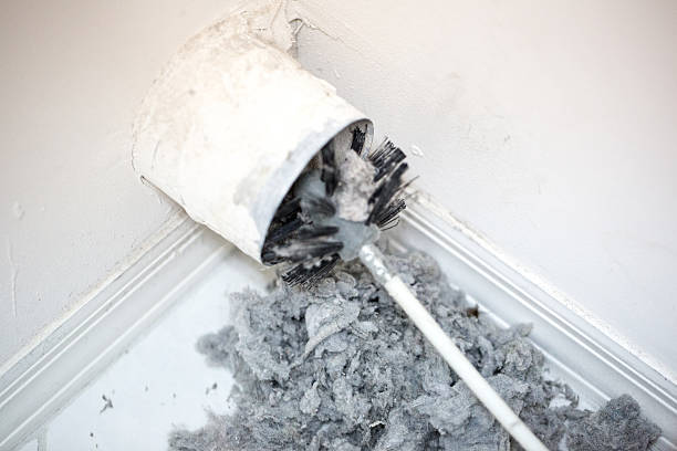 Best HVAC Duct Inspection Services  in Laurel Hill, NC